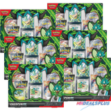 (Pre-Order) Pokemon Ogerpon EX Premium Collection Sealed Case